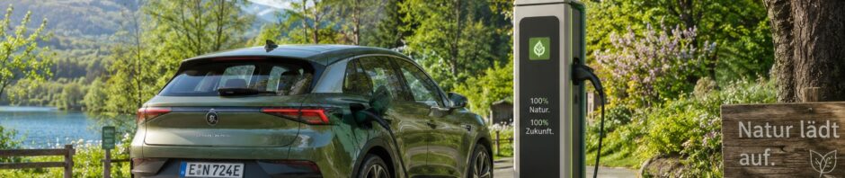 Pfalzwerke Frühlingsaktion 2026